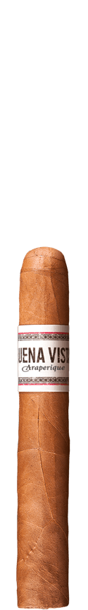 BUENA VISTA Araperique Petit Corona Cigar