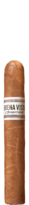 BUENA VISTA Araperique Robusto Cigar