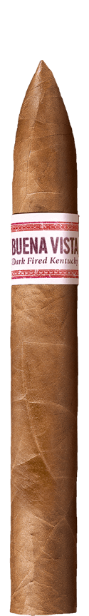 BUENA VISTA Araperique Belicoso cigar