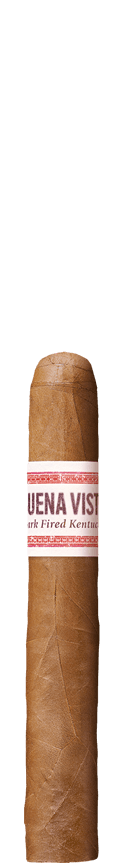 BUENA VISTA Araperique Petit Corona cigar