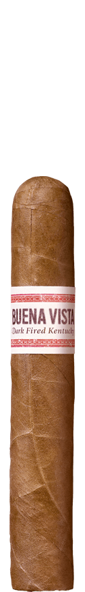 BUENA VISTA Araperique Robusto cigar