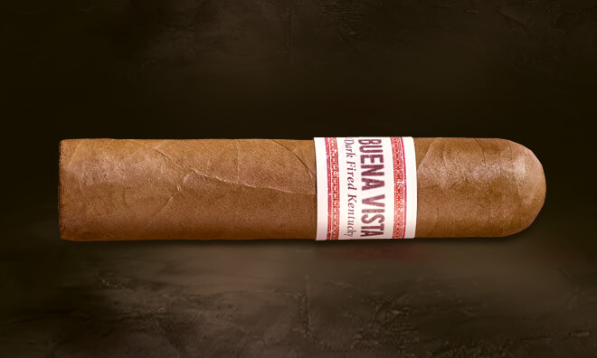 BUENA VISTA Dark Fired Kentucky Short Robusto