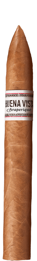BUENA VISTA Araperique Belicoso Cigar