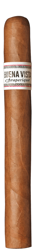BUENA VISTA Araperique Churchill Cigar