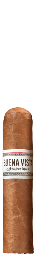 BUENA VISTA Araperique Short Robusto Cigar