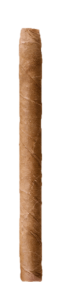 BUENA VISTA Dark Fired Kentucky Cigarllos