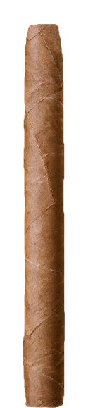 BUENA VISTA Dark Fired Kentucky Cigarros