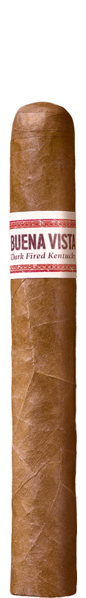 BUENA VISTA Araperique Toro cigar