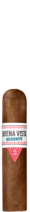 BUENA VISTA Incognito Short Robusto Zigarre